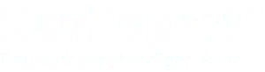 BauReport Schriftzug mit dem Untertitel Bausachverständigen Büro auf dunklem Hintergrund.
