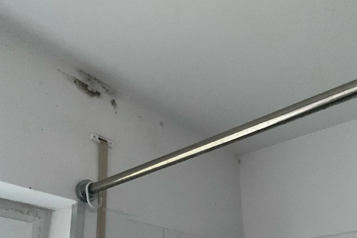 Schimmelbildung an der oberen Ecke einer weißen Innenwand neben einer Metallstange.