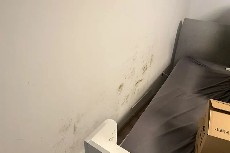 Typisches Schadensbild