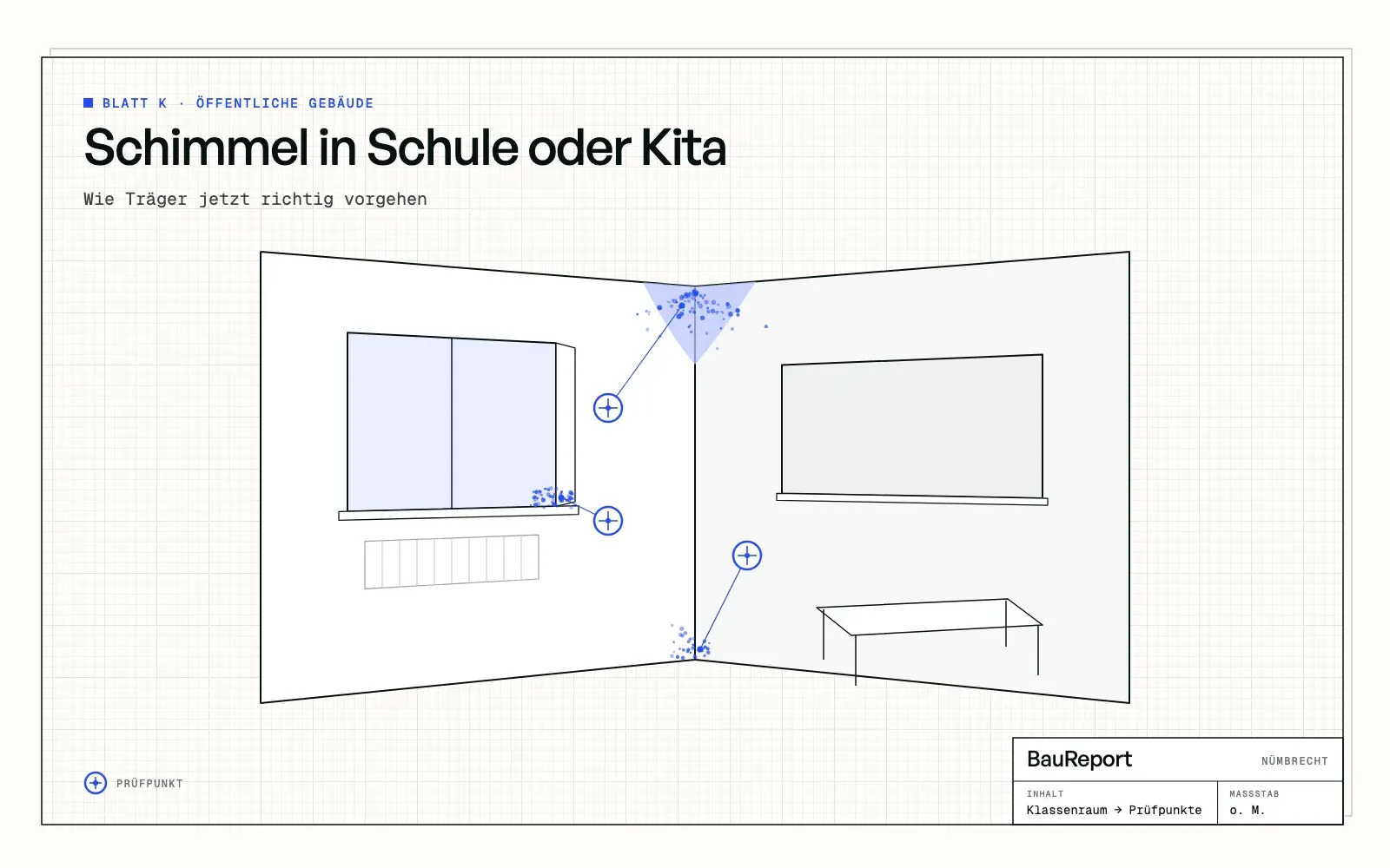 Befundskizze: Schimmel in Schule oder Kita: Wie Träger richtig vorgehen