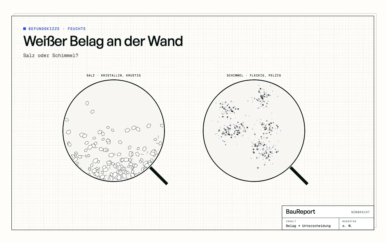 Befundskizze: Weißer Belag an der Wand: Salz oder Schimmel?