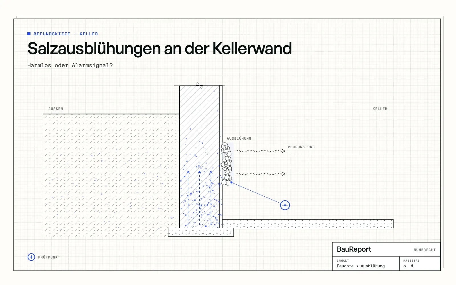 Befundskizze: Salzausblühungen an der Kellerwand: Harmlos oder Alarmsignal?