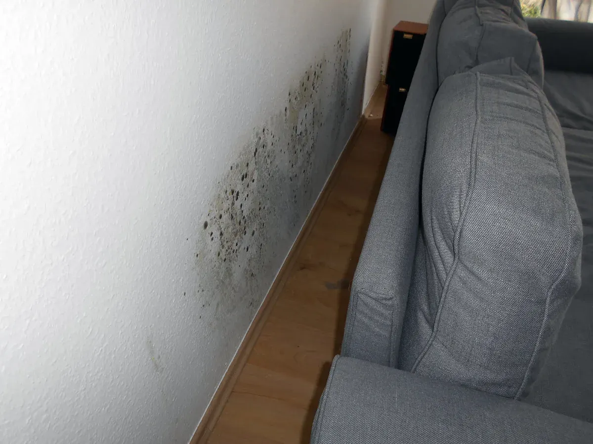 Typisches Schadensbild: Schimmel an der Außenwand hinter einem Möbelstück