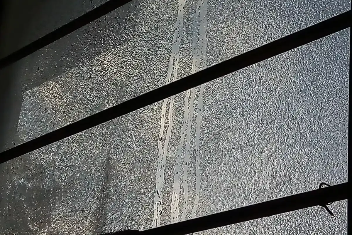 Typisches Schadensbild: Tauwasser an der Fensterscheibe als Hinweis auf hohe Raumluftfeuchte