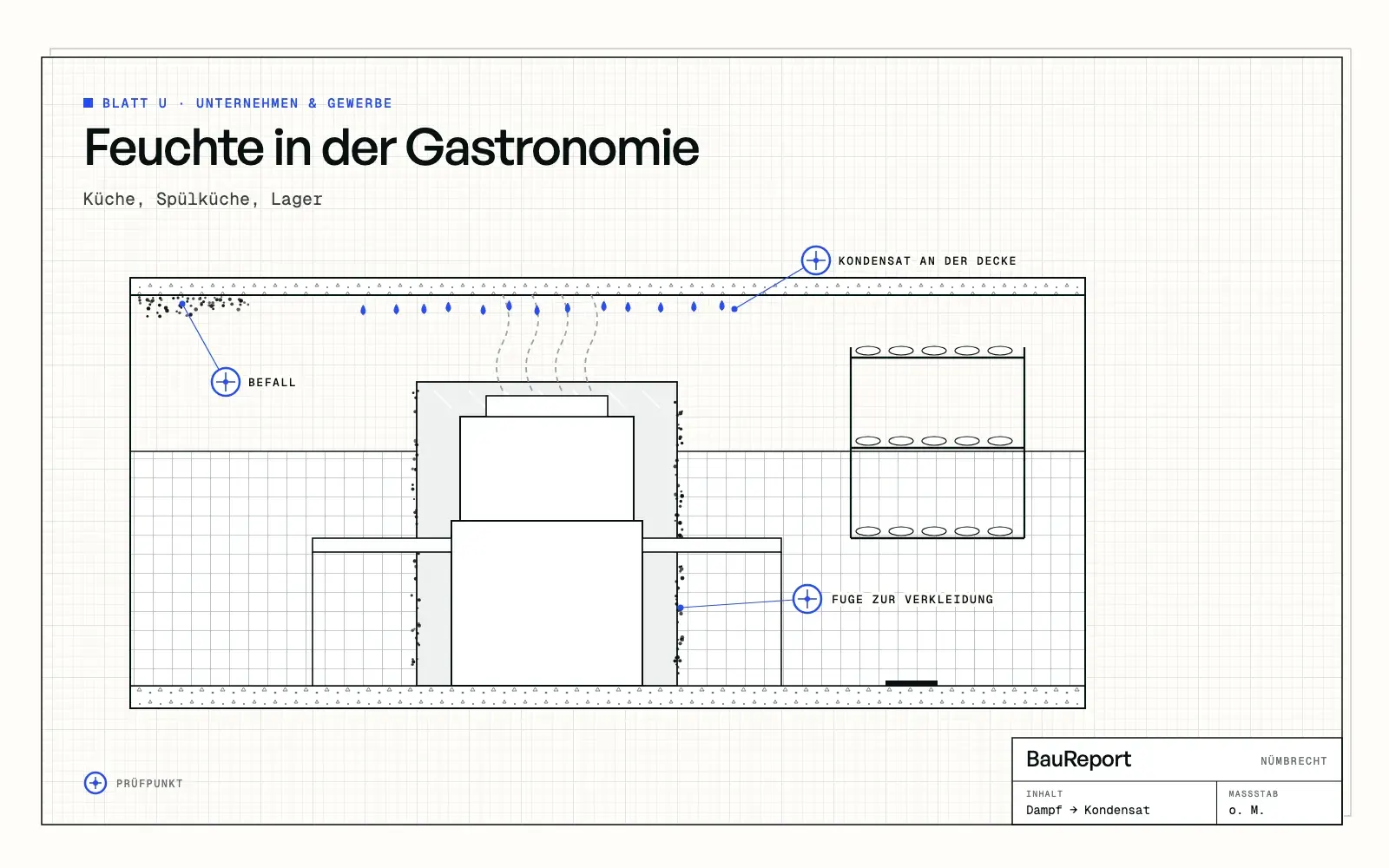 Feuchte und Schimmel in der Gastronomie: Küche, Spülküche, Lager