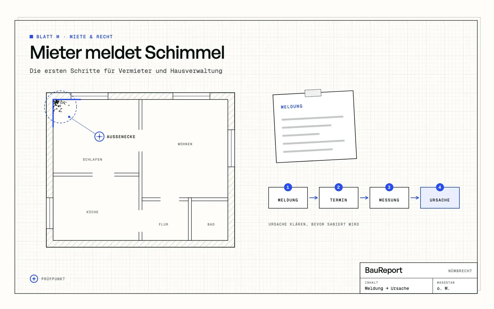 Mieter meldet Schimmel: Die ersten Schritte für Vermieter